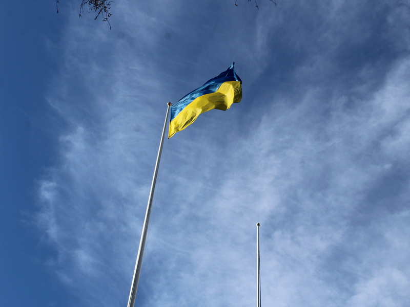 В Україні 14 березня відзначається День українського добровольця.